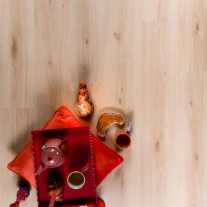 Douwes Dekker Plank Canjun