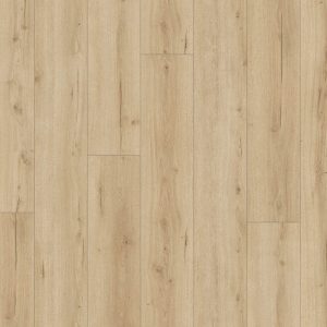 Douwes Dekker Brede Plank Vijg