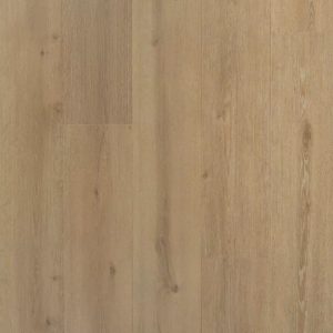 Solide plank Laurier