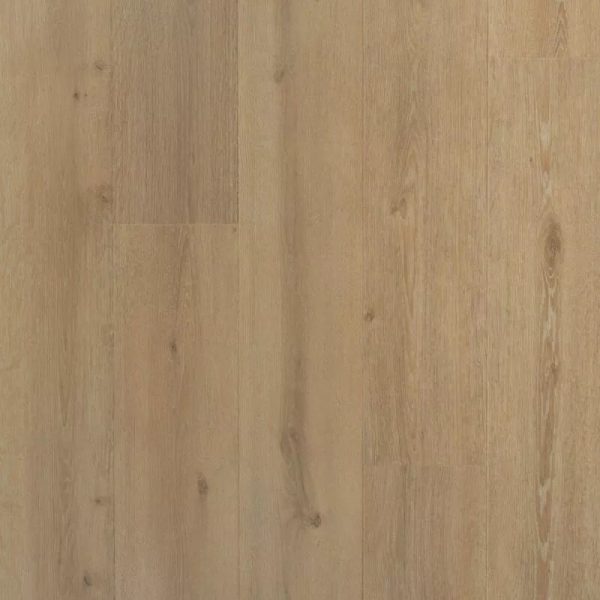 Solide plank Laurier | Douwes Dekker | Pressed bevel 4V-Groef
