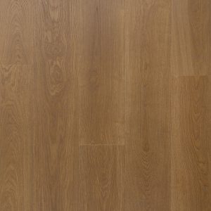 Solide plank Salie