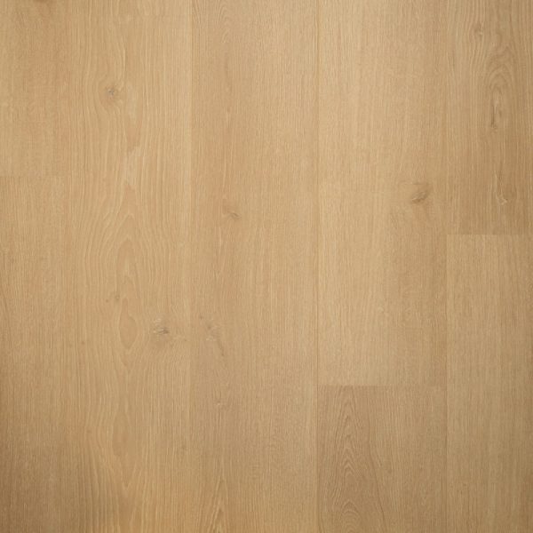 Brede Plank Kamille | Douwes Dekker | 2V-Groef
