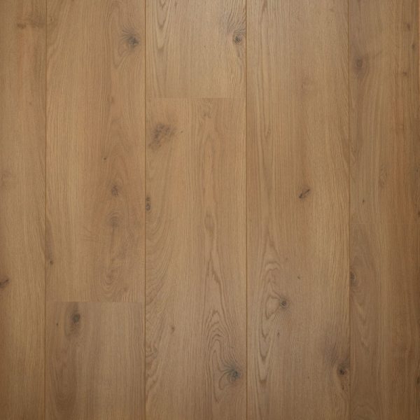 Brede Plank Peterselie | Douwes Dekker | 2V-Groef