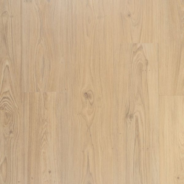Riante plank Crème Brûlée | Douwes Dekker | Dryback Plak PVC