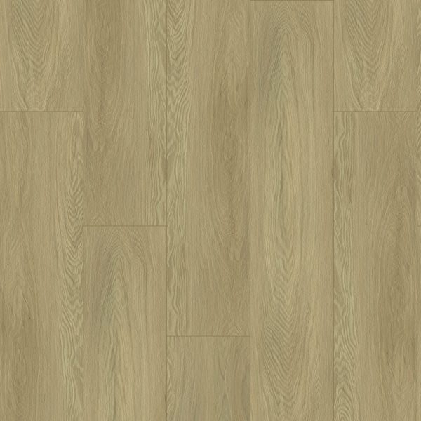Bodiax Bellevue 541 Beach Oak | Klik PVC Rigid