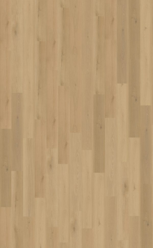 Belakos Borgo 300 | Plak PVC Dryback