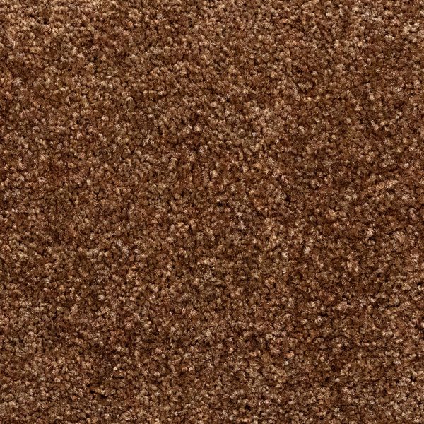 Otium Entreemat functioneel roest 100 cm breed