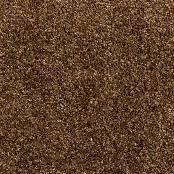 Otium Entreemat functioneel bruin 100 cm breed
