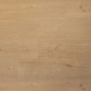 Douwes Dekker Praktisch Klik Biscuit