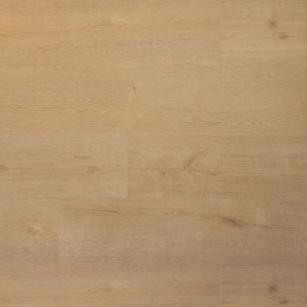 Douwes Dekker Praktisch Klik Biscuit