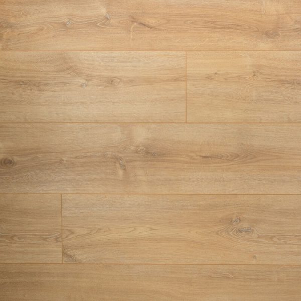Douwes Dekker Elegant Basilicum