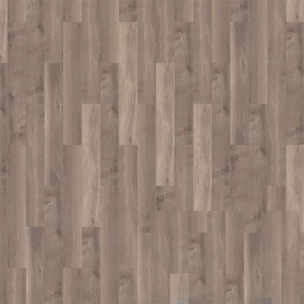 mFLOR Broad Leaf 41817 Smoky Sycamore