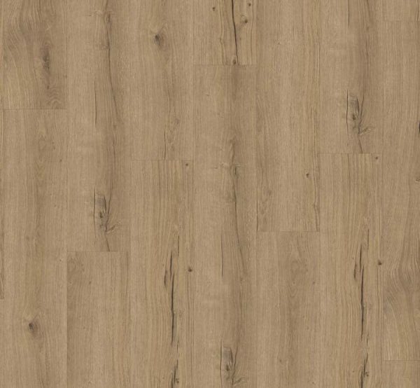 Parador Classic 2025 Eiken Cambridge natuur