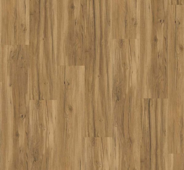 Parador Classic 2025 Eiken Memory natuur