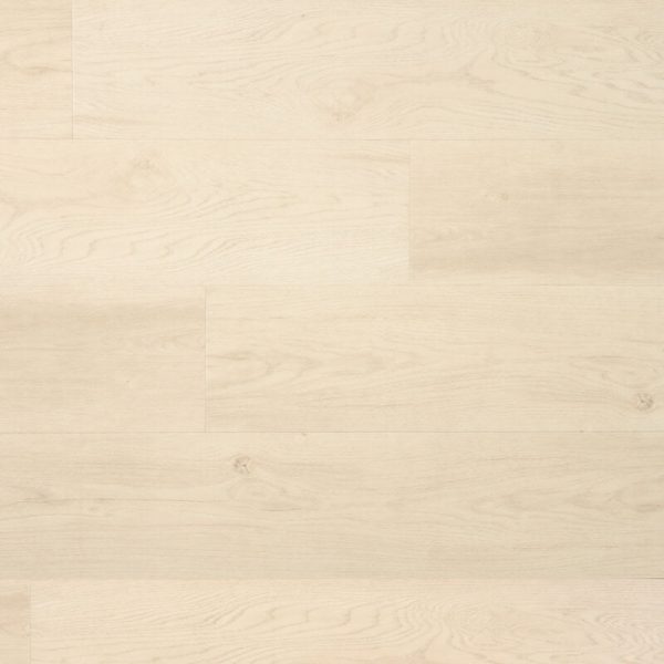 Douwes Dekker Ambitieus Klik Riante Plank Peperkoek