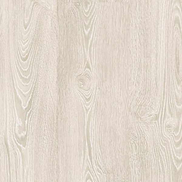 Lifestyle interior Rose Basic 60705