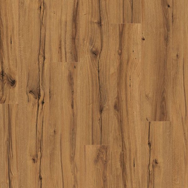 Parador Basic 400 Eiken History