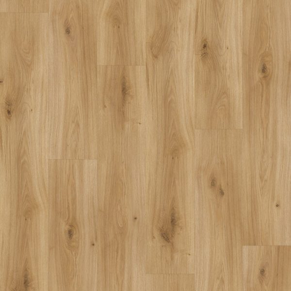 Parador Basic 400 Eiken Horizont Natuur