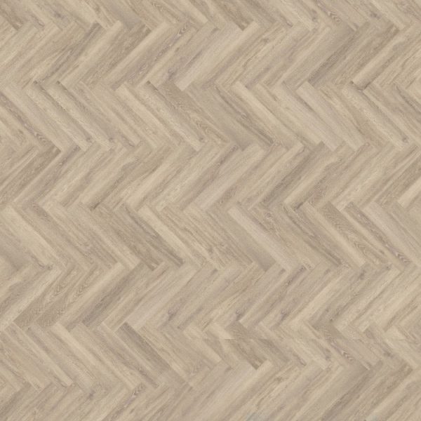 mFLOR Parva Oak 41219 Sardinia
