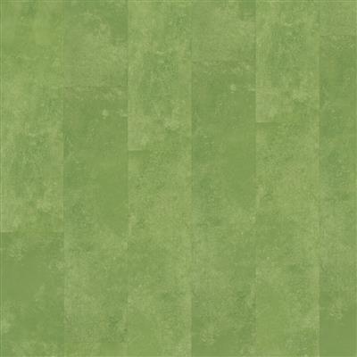 Ambiant Viretto Dryback Green