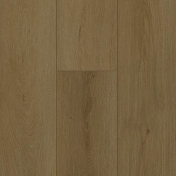 Gelasta Firmfit 6702 Summerfield Cinnamon