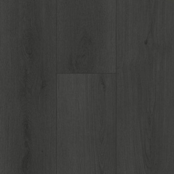 Gelasta Firmfit 6701 Summerfield Charcoal