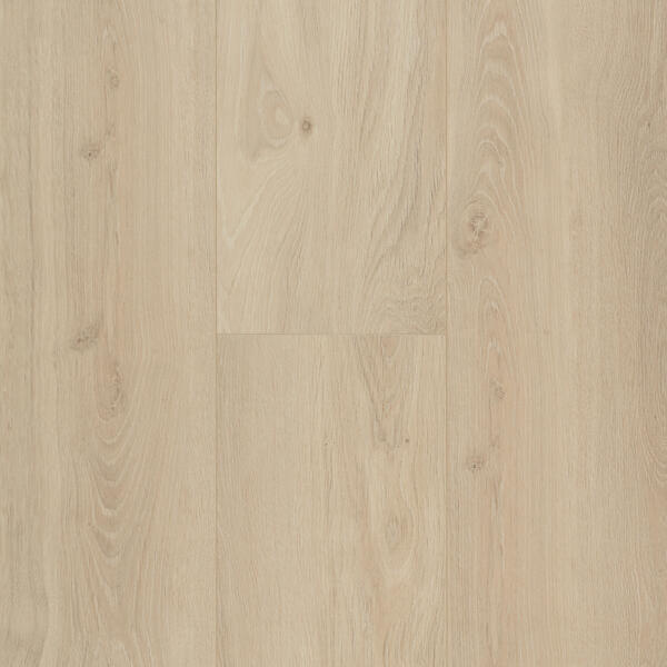 Berry Alloc Connect 8 XL 62002415 Bloom Sand Natural