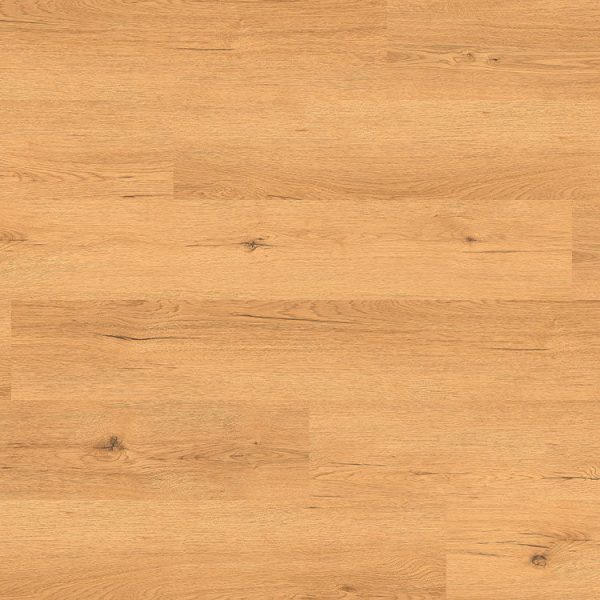Tajima Ambiente TRC 8009