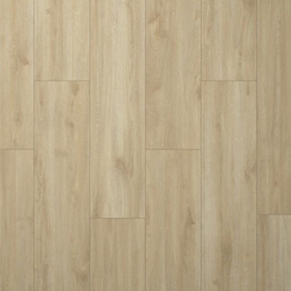 Swiss Krono Noblesse 40171 Cream Oak