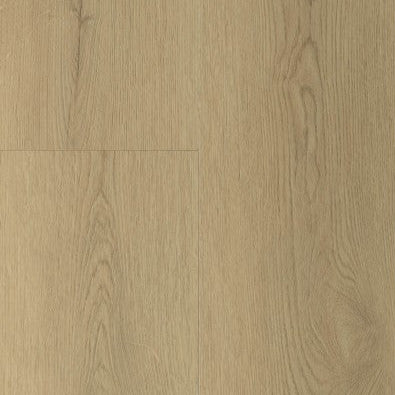 Gelasta Sierra Naturel 2003
