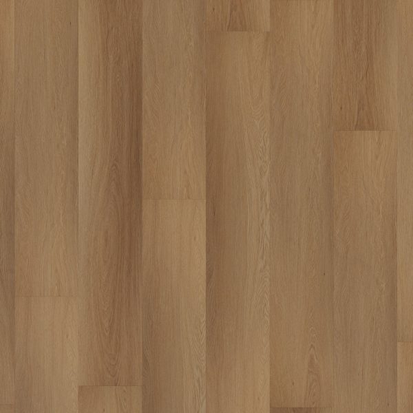 Room 5 Planks Click Western Hemlock