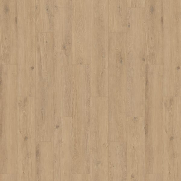 Tarkett iD Inspiration 55 XXL Pure Oak Haver