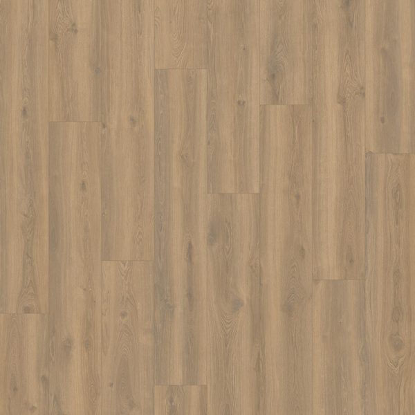 Tarkett iD Inspiration 55 XXL Brook Oak Everglade
