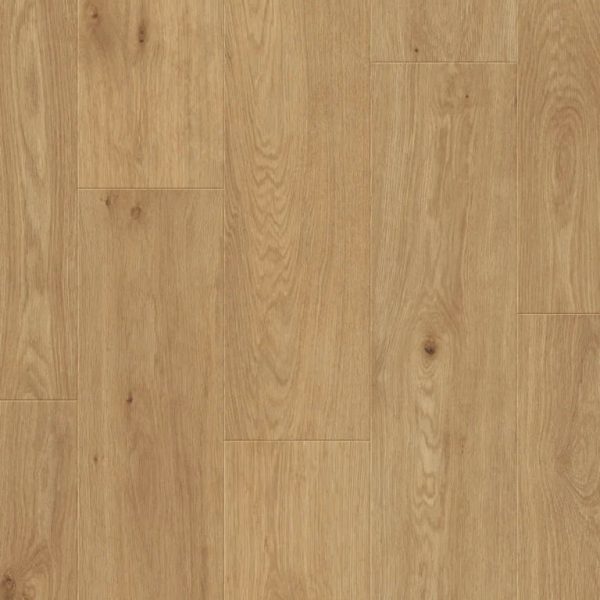 Saffier Estrada 6375 Kansas Oak
